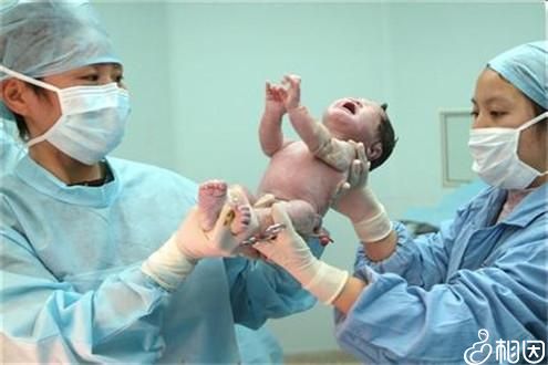 Dr. Zhang